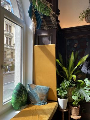   at Café Naiv in Innsbruck