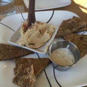 hummus and pita at Vitality Bistro in Mount Dora