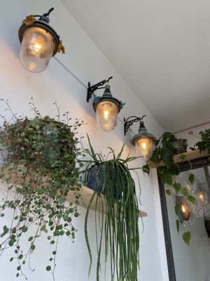   at FLFL Zwolle in Zwolle