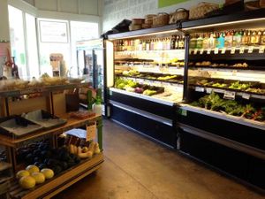 organic fruits, veggies & microbrews at Citzens Co-op in Gainesville
