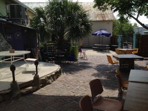 lovely partly shaded outdoor eating/gathering area at Citzens Co-op in Gainesville
