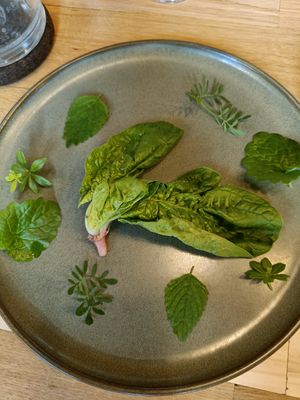  at Entropy in Brussels