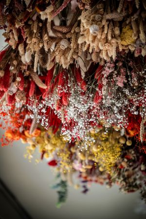 Dried flowers are part of the upcycled design of the restaurant  at Entropy in Brussels