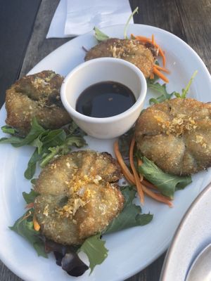 Pan fried dumplings with chive stuffing  at Madame K's Vegetarian in Fitzroy