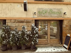  at Botané in Budapest