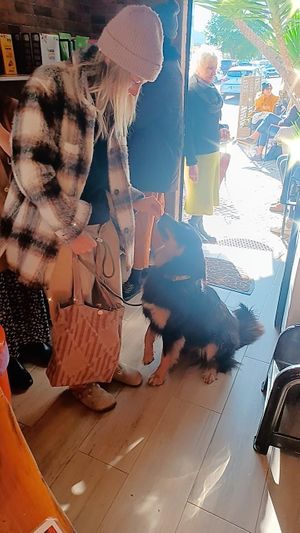 All animals are welcome at the bakery🥰 at A Padaria in Aljezur