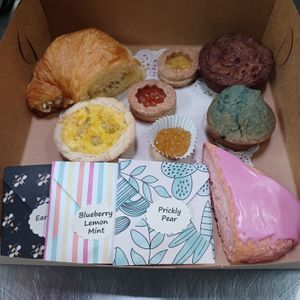  at Snapdragon Tea in Albuquerque