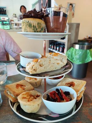  at Snapdragon Tea in Albuquerque