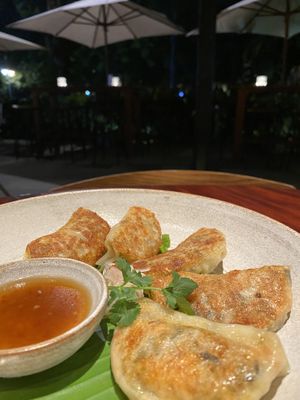 Vegan gyoza   at R'Miet in Siem Reap