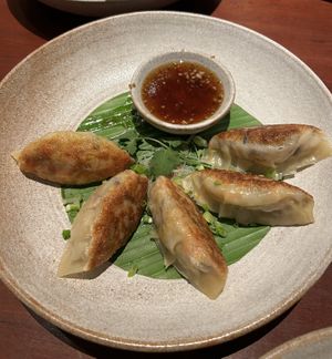 vegan gyoza  #Veganuary at R'Miet in Siem Reap