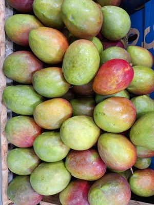  at Trader Joe's - NE 1st Ave in Miami