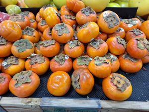  at Trader Joe's - NE 1st Ave in Miami