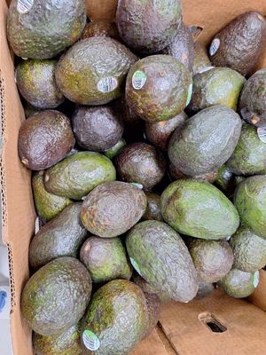  at Trader Joe's - NE 1st Ave in Miami