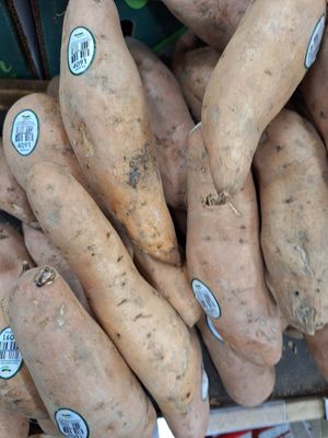  at Trader Joe's - NE 1st Ave in Miami