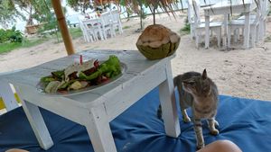 Nice beds and seating right at the sea at Bintang Tiga- 'Ra' Healing Food in 