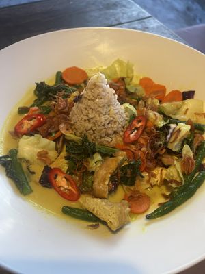 Veg & Tofu Curry (so good!)  at Bintang Tiga- 'Ra' Healing Food in 