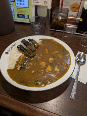 vegan ("vegetarian") curry with potatoes, spinach, natto and eggplant at Coco Ichibanya in Hokkaido