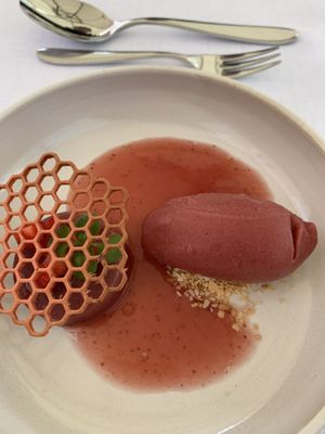 Dessert not sweet at all. Main flavor is wild strawberries but the sorbet had a pine undertone   at Ertlio Namas in Vilnius