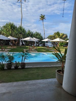 Pool and garden area at Dreamsea Surf Camp Sri Lanka in Ahangama