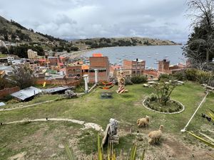 Garden with hammocks and alpacas  at La Cúpula in Copacabana