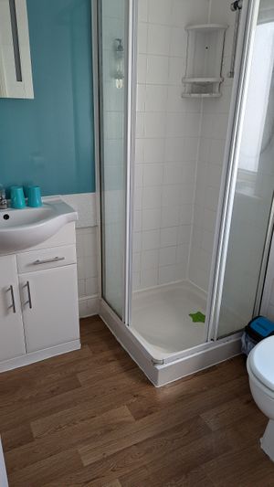 Alice Walker bathroom at The Miggi Vegan Guesthouse in Paignton