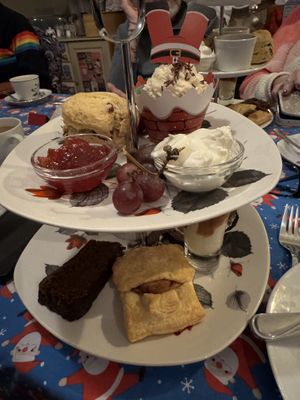 All these cakes were just for me!  at The Miggi Vegan Guesthouse in Paignton