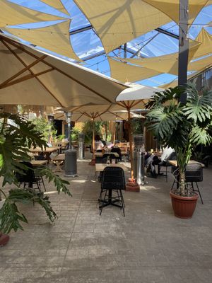   at Mala Mía  in Santiago