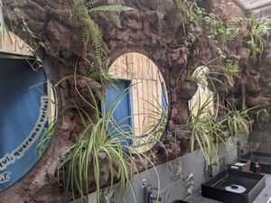  at Mala Mía  in Santiago