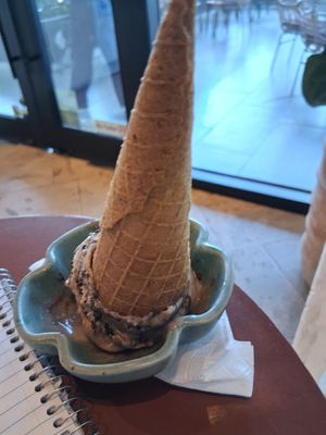  at Buen Confidente in Merida