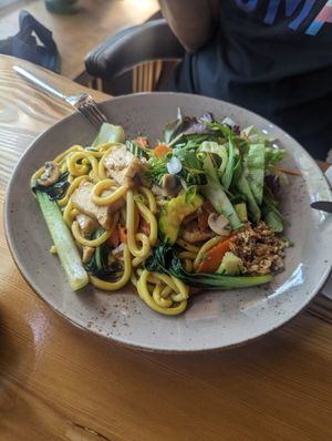 Udon noodles with tofu at Umi Vegan in Berlin