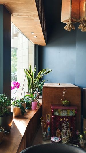  at Umi Vegan in Berlin