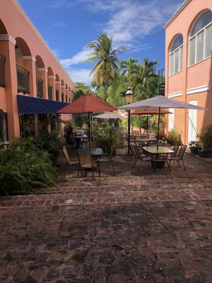 Beautiful lunch spot!  at Z Cafe in St Croix