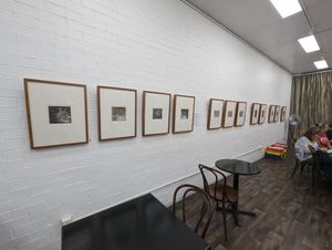 The gallery at The Curious Rabbit in Wagga Wagga