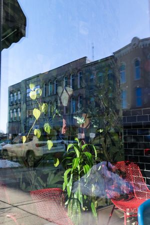 Plants!  at Musgrove + Company in Adrian