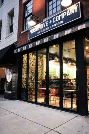 A look inside from the sidewalk  at Musgrove + Company in Adrian