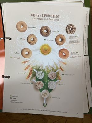 Bagels and cream cheeses with vegan markings (Oct 2023)  at Bagels & Beans - Amsterdamsestraatweg in Utrecht