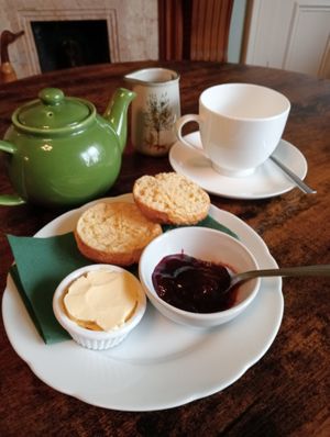 Homemade scone with blaeberry/strawberry/rosemary and gin jam. Served with a pot of tea. at Blaeberry House in Inverness