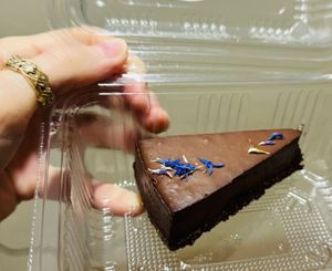   at Raw Story in Subotica