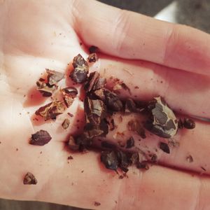 Cacao nibs, the beans were fresh out of the oven and still slightly warm 🤤 at Indigena Cafè & Chocolate in Cabuya