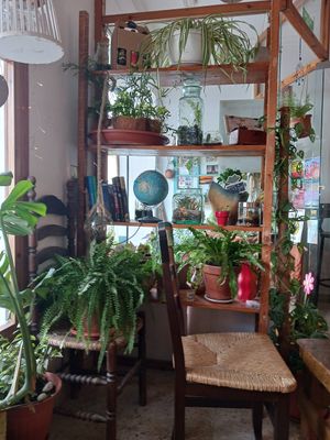 La Casita Jardín at La Casita Jardín in Altea