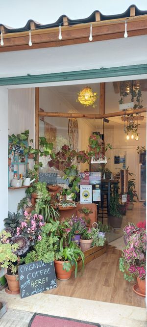  at La Casita Jardín in Altea