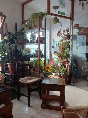  at La Casita Jardín in Altea