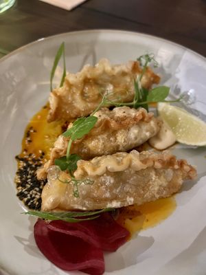 Japanese Gyozas  at Wittern in Veghel