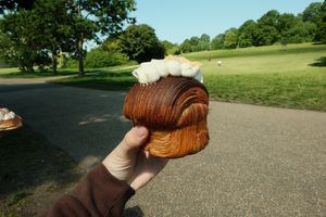 Apple  at British Patagonia in North London
