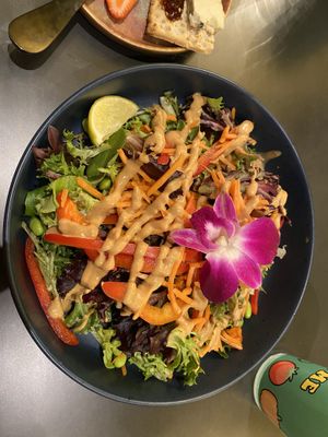 Rainbow Salad  at Plantasia Eatery in Flagstaff