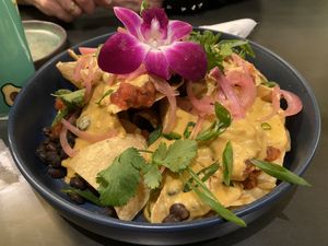 Nachos!  at Plantasia Eatery in Flagstaff