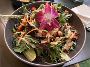 Rainbow Salad  at Plantasia Eatery in Flagstaff