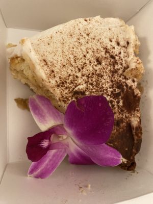   at Plantasia Eatery in Flagstaff