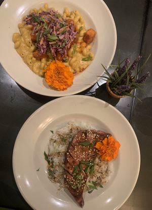 Buffalo vegan chicken mac & cheese (top) and tofu salmon with rice  at Plantasia Eatery in Flagstaff