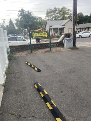   at Plantasia Eatery in Flagstaff